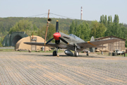 Click to enlarge Red Tails