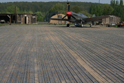 Click to enlarge Red Tails