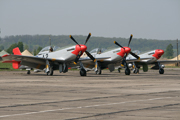 Click to enlarge Red Tails