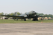 Click to enlarge Red Tails